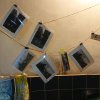 pro-Fil0X5Es